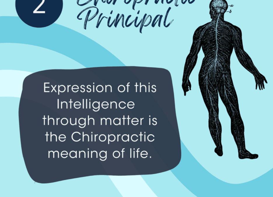 Exploring the Second Chiropractic Principle