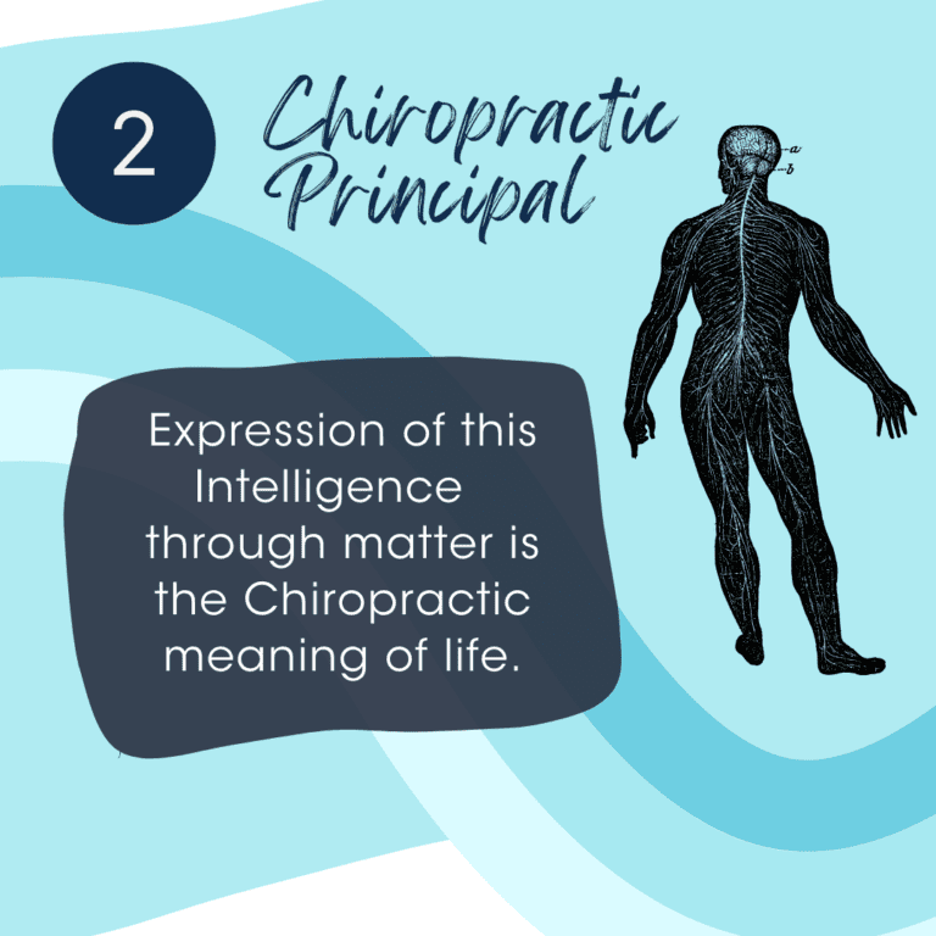 Second Chiropractic Principle